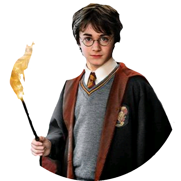 HARRY POTTER